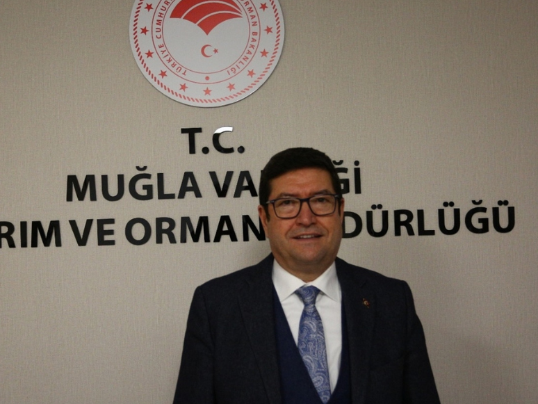 Muğla'nın Su Ürünleri İhracatı Geçen Yıl 500 Milyon Doları Aştı