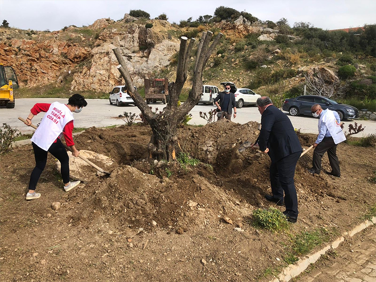 Sağlık Çalışanları Anısına Ağaç Dikme Etkinliği Düzenlendi