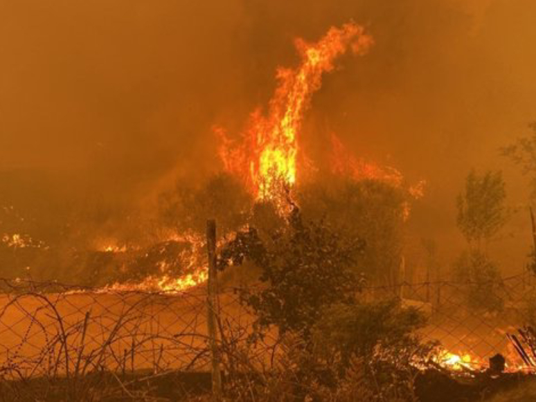 Çanakkale'deki Orman Yangını ile Mücadele