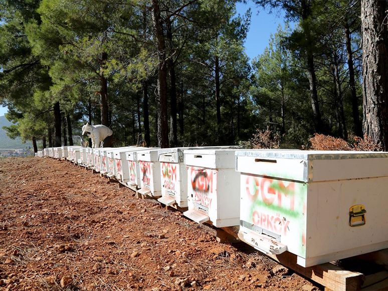 Muğla ve Aydın'da 182 Aileye ORKÖY Desteği 