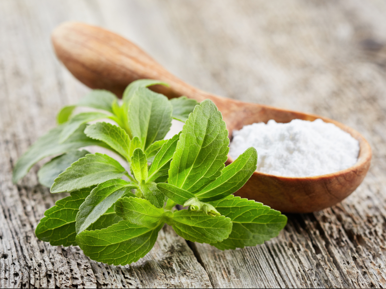 Stevia Bitkisi Nedir? Faydaları Nelerdir? Nasıl Kullanılır?