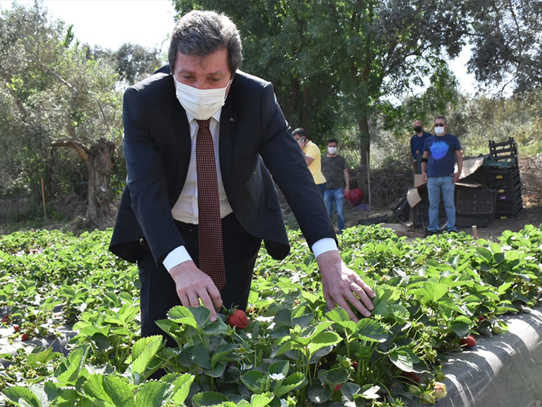 Muğla Valisi Orhan Tavlı Tarım Üreticilerini Ziyaret Etti