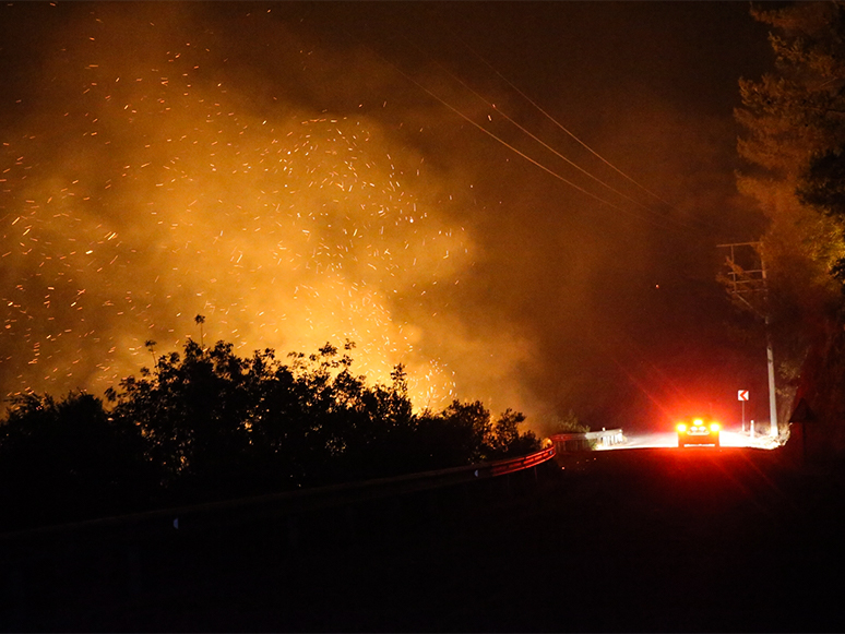 Bodrum'daki Orman Yangınını Söndürme Çalışmaları Aralıksız Sürüyor