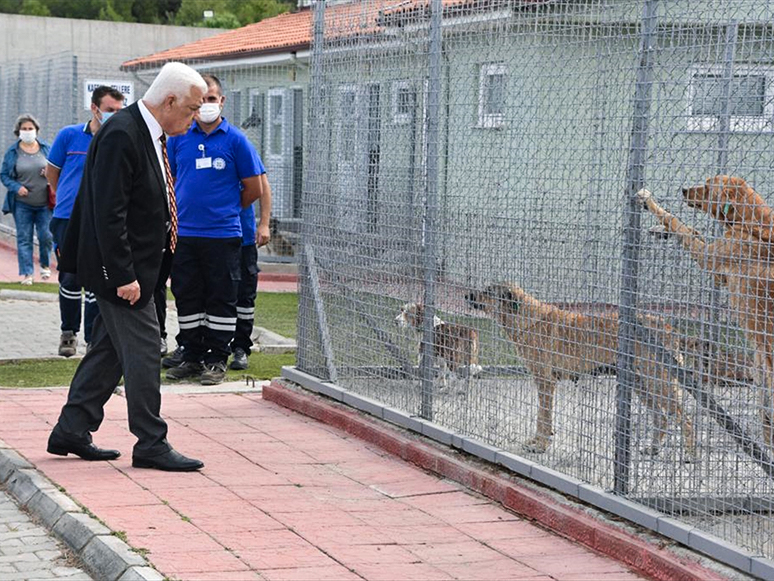 Muğla Büyükşehir Belediye Başkanı Gürün’den Geçici Hayvan Bakımevine Ziyaret