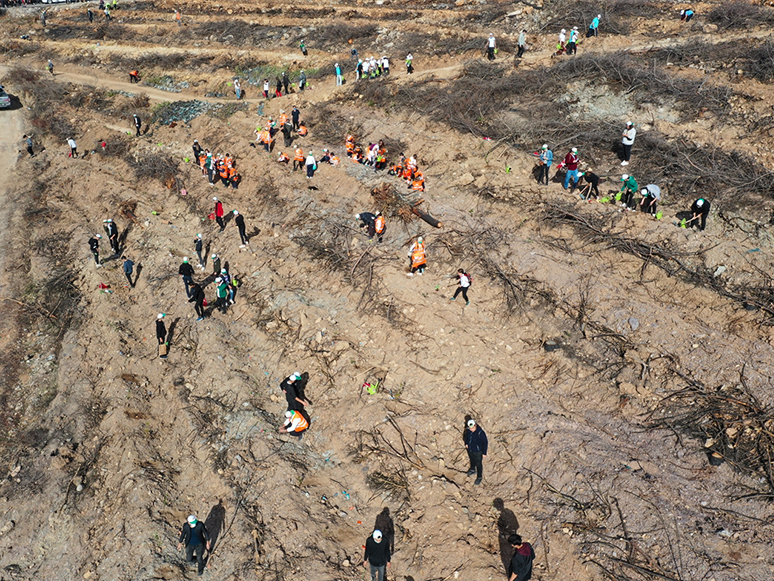 Bodrum'da Milli Ağaçlandırma Gününde Fidanlar Toprakla Buluştu