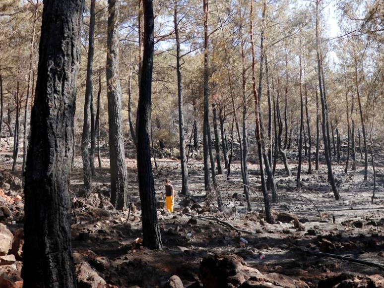 Bir Yangın da Fethiye’de 