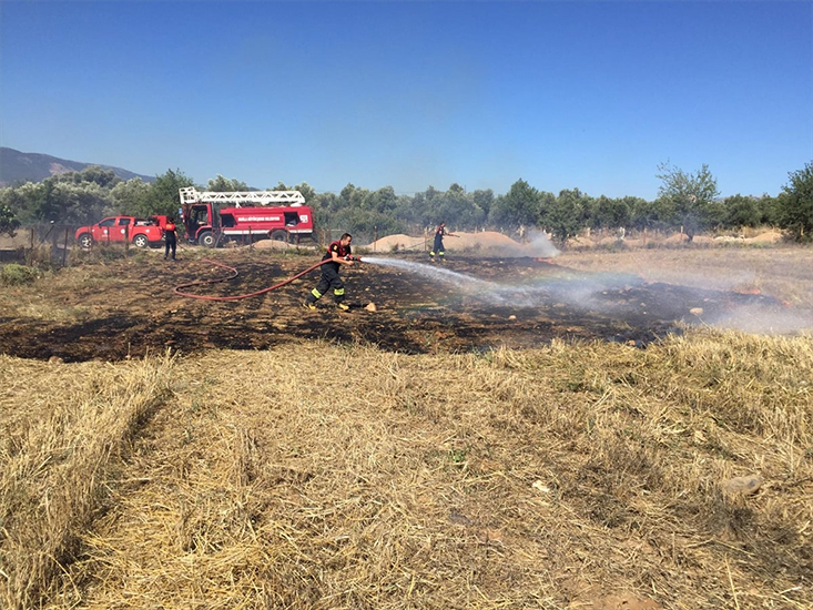 Muğla'da Zeytinlik ve Anızların Bulunduğu Alanlarda Çıkan Yangınlar Söndürüldü