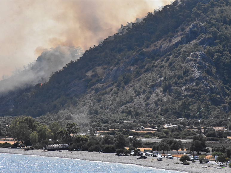 Milas'ta Ormanlık Alanda Çıkan Yangın Kontrol Altına Alınmaya Çalışılıyor