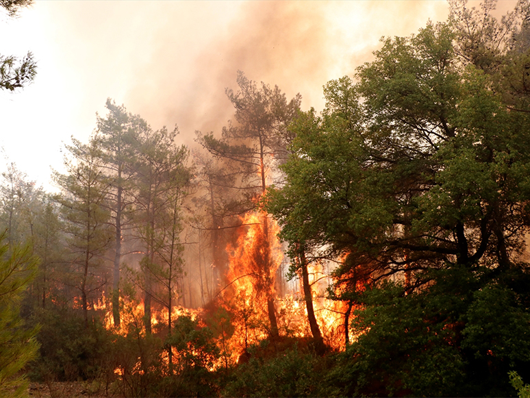 Marmaris'teki Orman Yangınını Söndürme Çalışmaları Devam Ediyor
