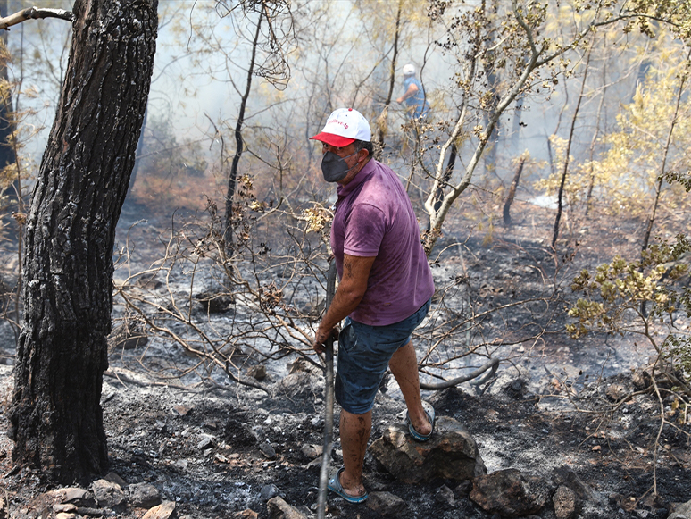 Bodrum'daki Orman Yangınını Söndürmek İçin Herkes Seferber Oldu