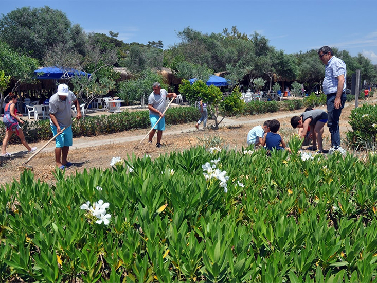 Muğla'da Kum Zambaklarıyla Ünlü Halk Plajı Temizlendi