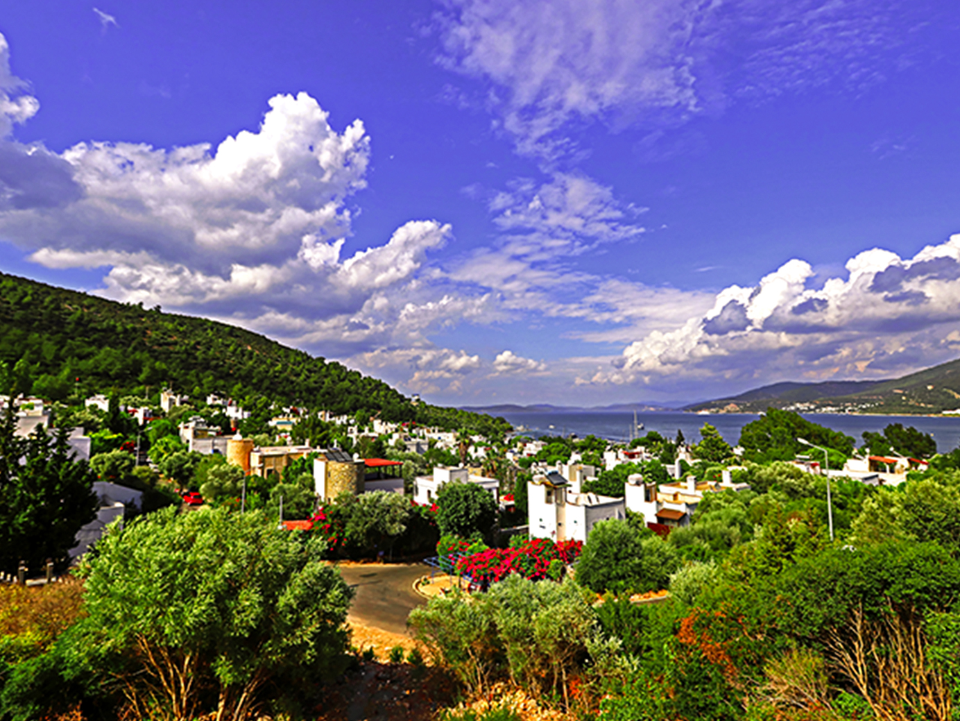 Bodrum Torba’ya Nasıl Gidilir?