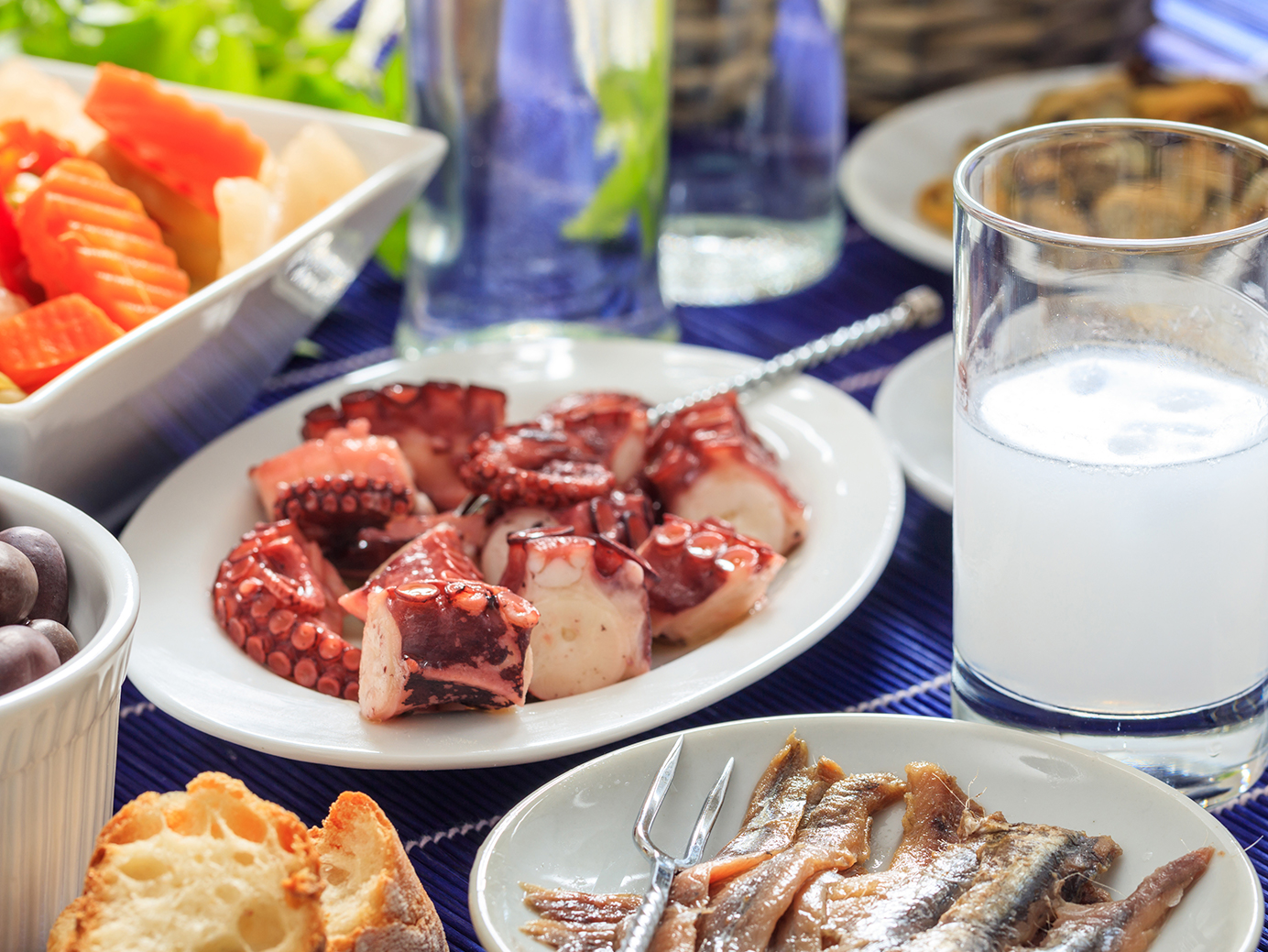 Bodrum Rakı Balık Mekanları