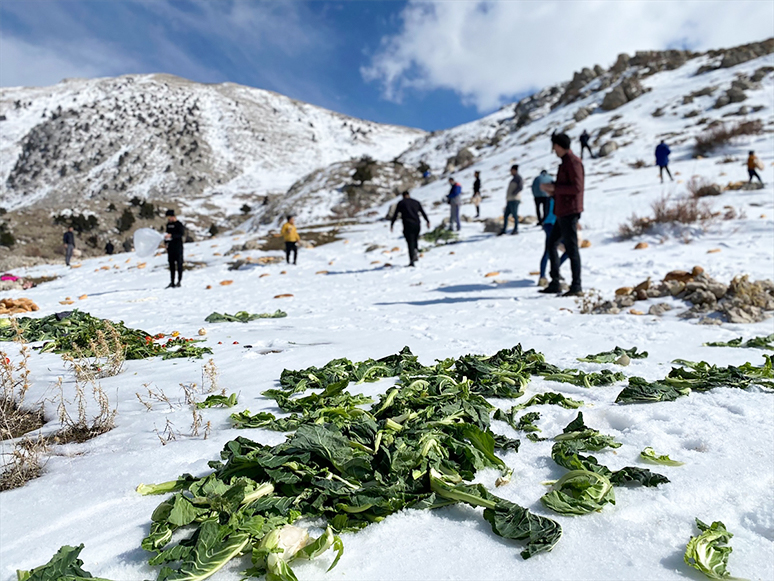 Muğla'da Yaban Hayvanları İçin Doğaya Yem Bırakıldı