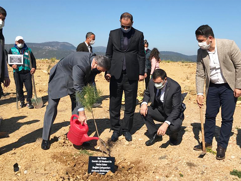 Bodrum'da Sağlık Çalışanları Anısına Fidan Dikildi