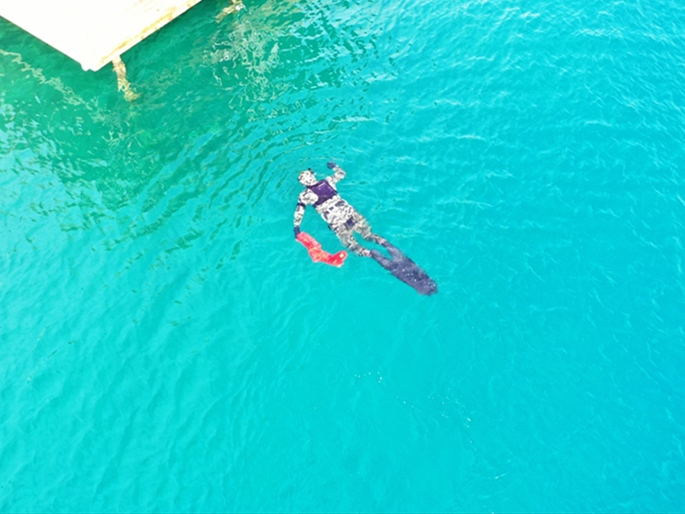 Bodrum’da Deniz Dibi Temizliği