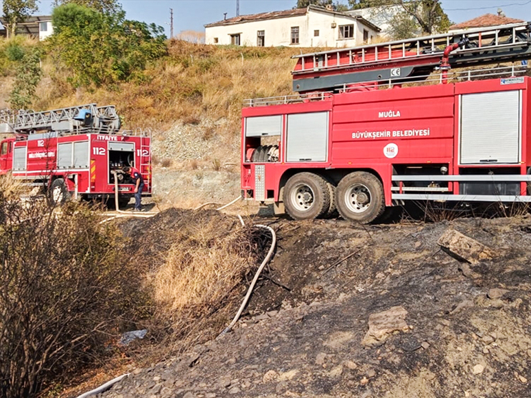 Muğla’da Sazlık Alanda Çıkan Yangın Söndürüldü