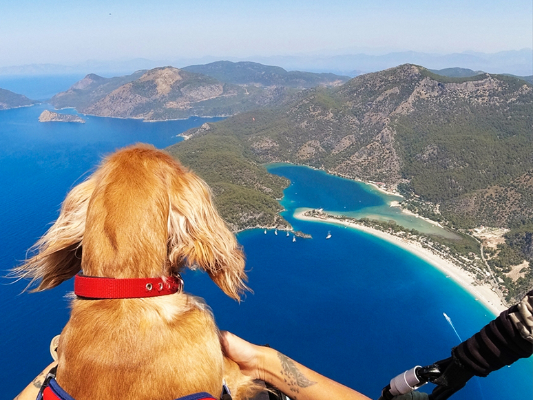 Ölüdeniz'in Eşsiz Manzarasında Köpeği Yager İle Yamaç Paraşütü Yaptı