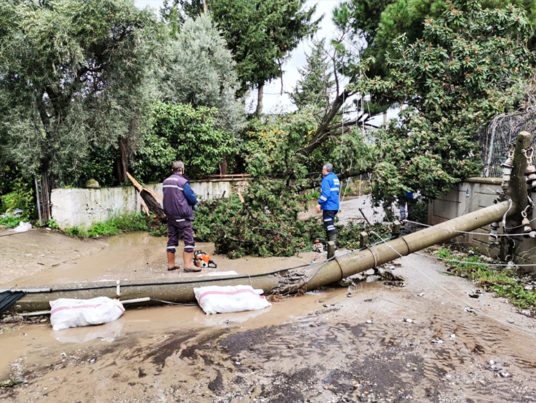 Kuvvetli Rüzgar Ağaçları ve Elektrik Direklerini Devirdi