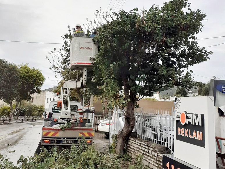 Bodrum'da Yollarda Tehlike Oluşturan Dallar Kesiliyor