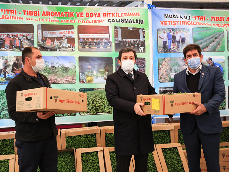 Muğla'da Tıbbi ve Aromatik Bitkiler Gelir Kaynağı Olacak