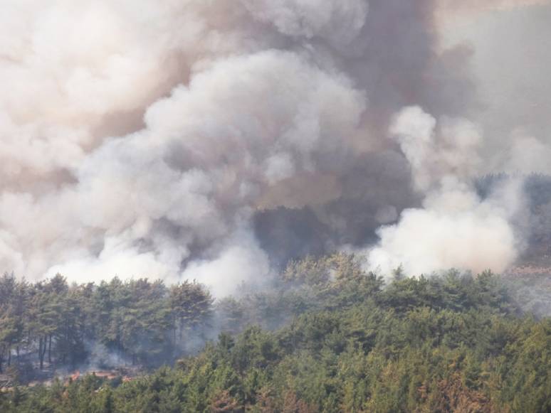 Muğla’da Felaket Havadan Görüntülendi