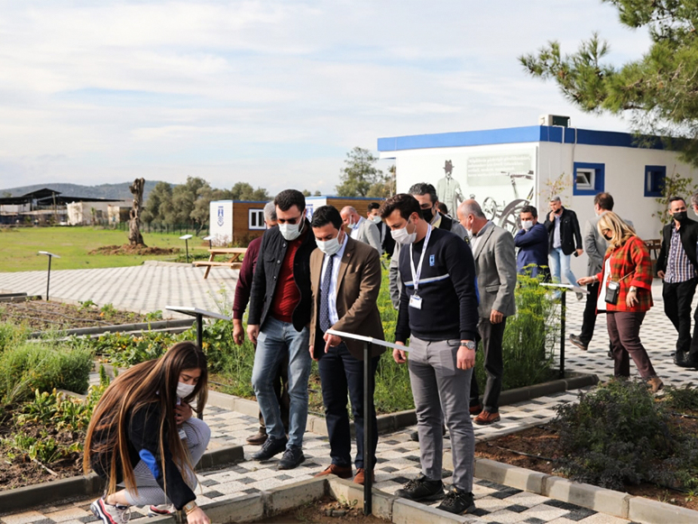 Bodrum Belediye Başkanı Aras Tarımsal Çalışmaları Yerinde İnceledi