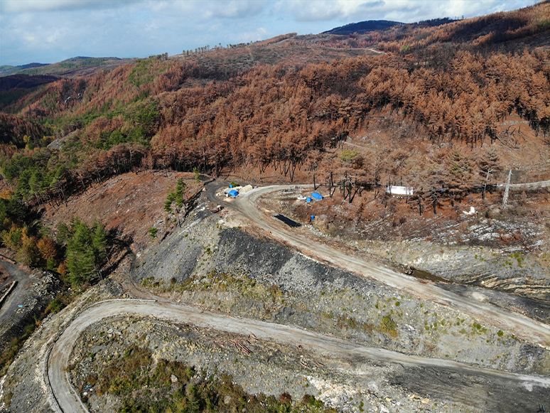 Muğla'da Yanan Ormanlık Alanlar 20 Milyon Fidanla Yeniden Yeşerecek