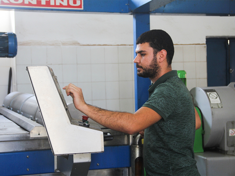 Güney Ege'nin Yeşil Altını Sıkılarak Yağa Dönüştürülüyor