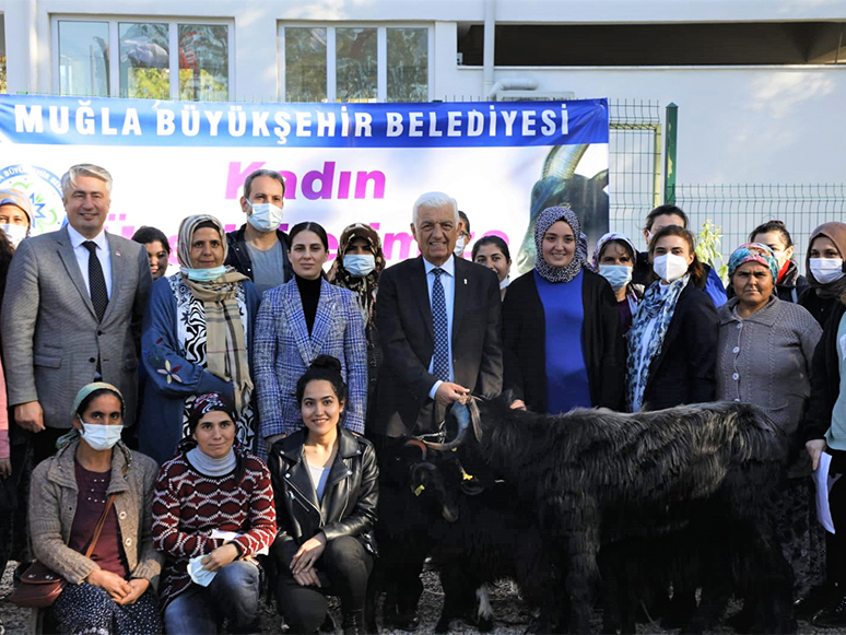 Muğla Büyükşehir Belediyesi Kıl Keçisi Desteğini Köyceğiz’de Sürdürdü 