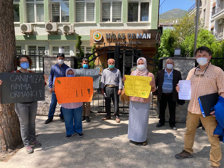 Milas İkizköy Halkı Akbelen Ormanı İçin Hukuk Mücadelesi Başlattı