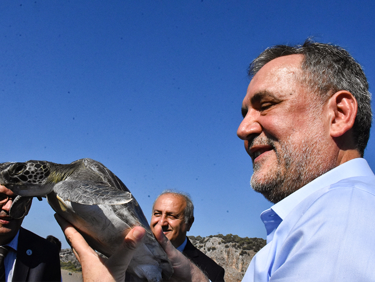 Küresel Isınma Yüzünden Caretta Carettaların Güzergahı Değişti