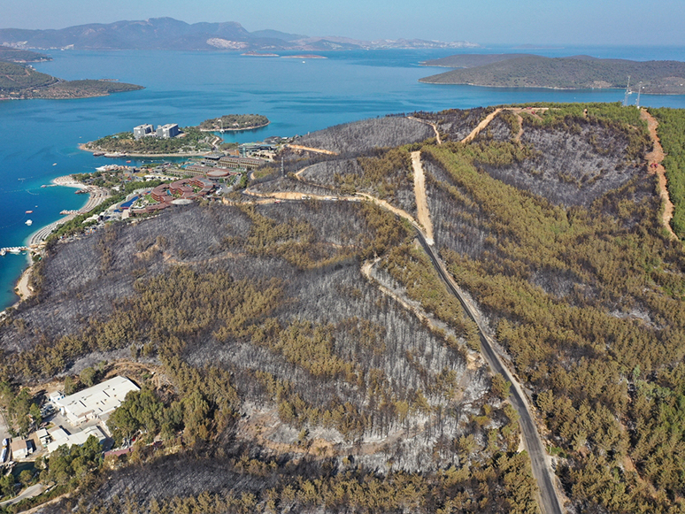 Milas'taki Yangında Zarar Gören Ormanlık Alan Havadan Görüntülendi