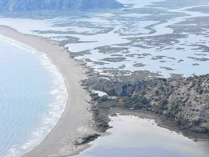 Muğla'da İztuzu Plajı'ndaki Caretta Caretta Yuva Sayısı 200'e Ulaştı