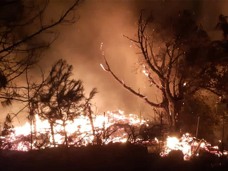 Muğla’da Yangın: 6 Ev ile 2 Dönüm Ormanlık Alan Zarar Gördü