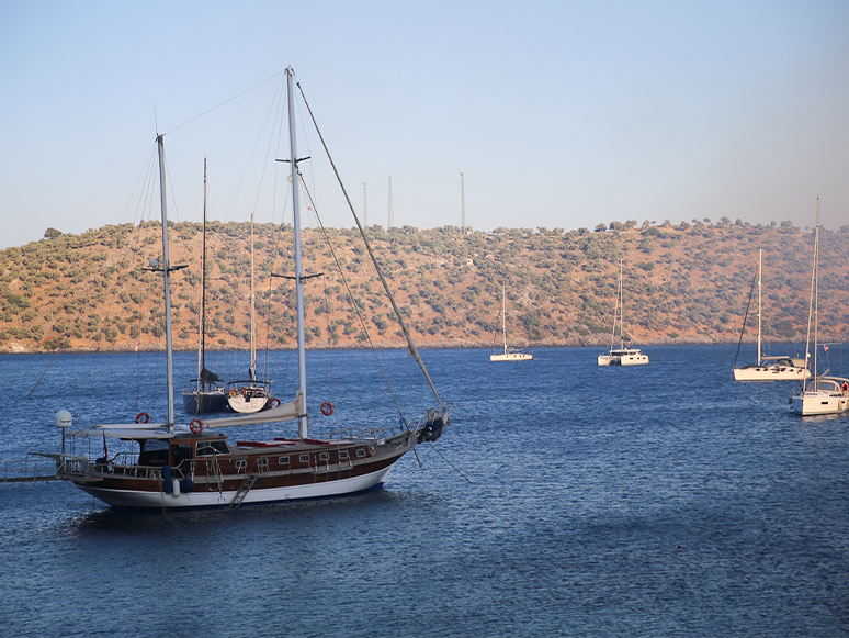 Gümbet Tekne Turları