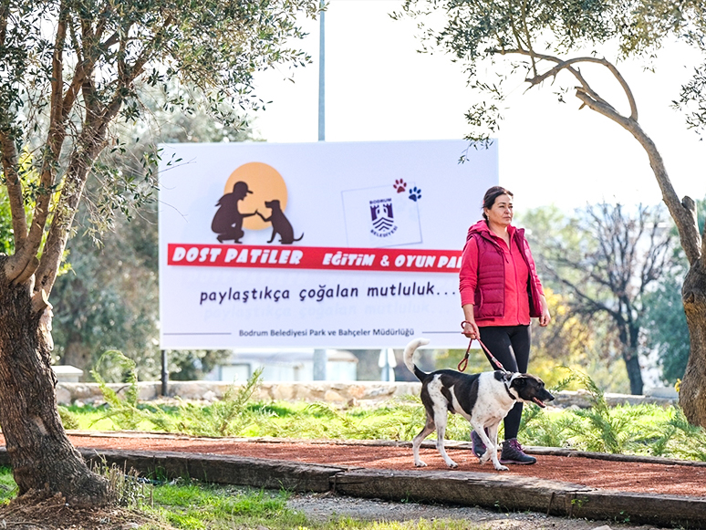 Bodrum'da Evcil Hayvanlara Park ve Oyun Alanı Yapıldı