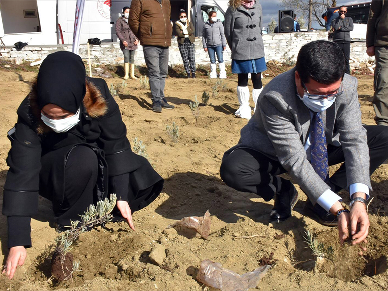 Muğla’da Lavanta Yetiştiriciliği ve Yazlak Projesi Başladı