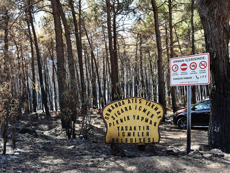 Muğla'da Ormanlık Alanlara Görevliler Dışındakilerin Girmesi Yasaklandı