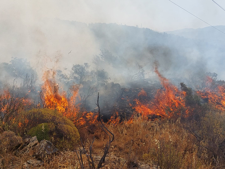 Dalaman'da Orman ve Makilik Alanda Yangın Çıktı