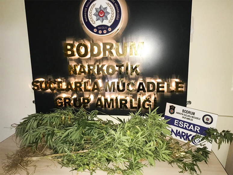 Muğla'da Uyuşturucu Operasyonunda 3 Zanlı Yakalandı