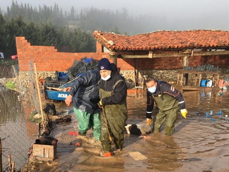 Muğla'da Şiddetli Yağışta Mahsur Kalan Hayvanları AFAD Ekipleri Kurtardı