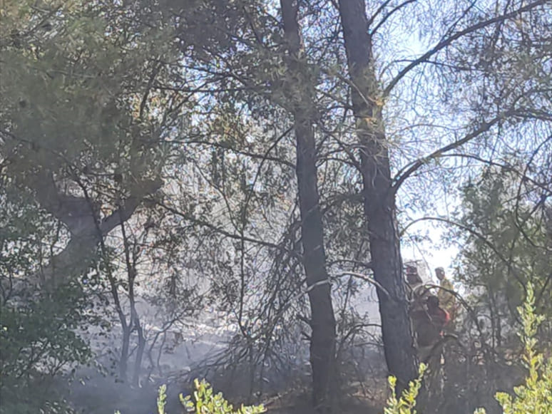 Milas’ta Çıkan İki Orman Yangını Söndürüldü