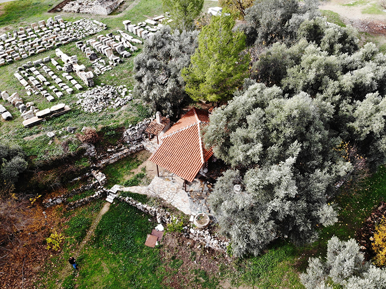 Türkiye’nin Anıt Ağaçları Zamana Meydan Okuyor