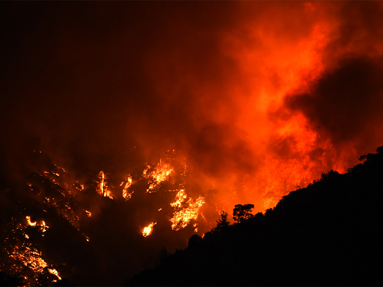 Milas ve Bodrum’da Ormanlık Alanda Çıkan Yangın Kontrol Altına Alınmaya Çalışılıyor