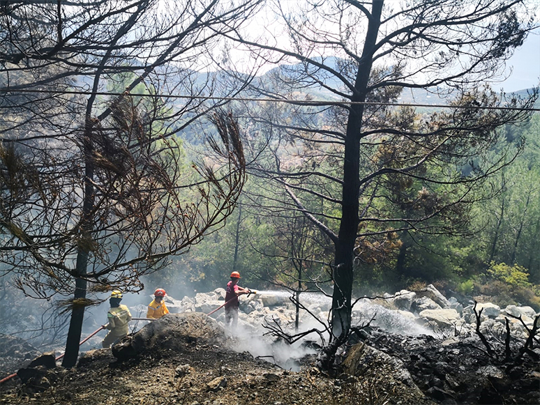 Datça'da Çıkan Orman Yangını Söndürüldü