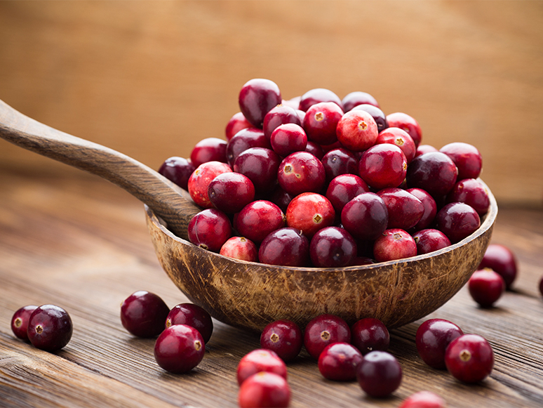 Cranberry (Turna Yemişi) Faydaları Nelerdir? Neye İyi Gelir?