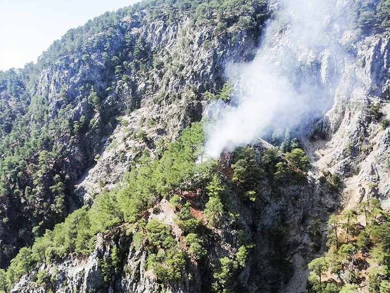 Muğla’da Orman Yangını