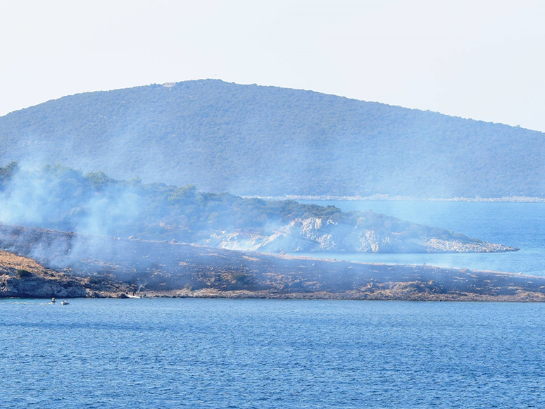 Bodrum’da Büyük Ada’da Çıkan Yangın Söndürüldü