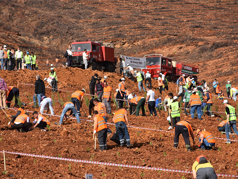 Marmaris Yangınında Hayatını Kaybeden Hasdemir ve Akdemir İçin Hatıra Ormanı 